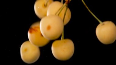 cherry splashing, white cherry splashing in water black background