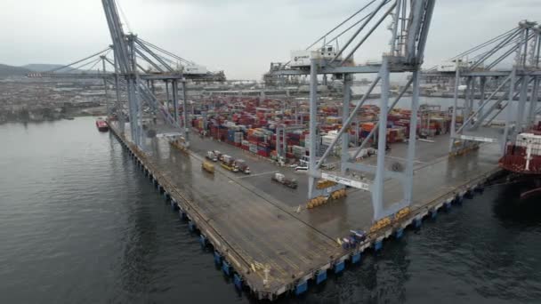 Container Aerial Container Port Containers Cranes Cargo — Video Stock