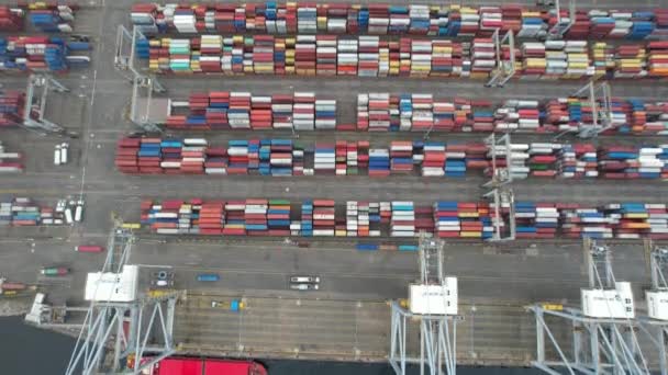 Container Aerial Container Port Line Cargo Goods — Wideo stockowe