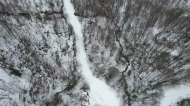 Orman ve yol, hava karlı kozalaklı orman ve karla kaplı dağ yolu.