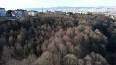Basiskele, havadan çekilen Kocaeli baziskele bölgesi