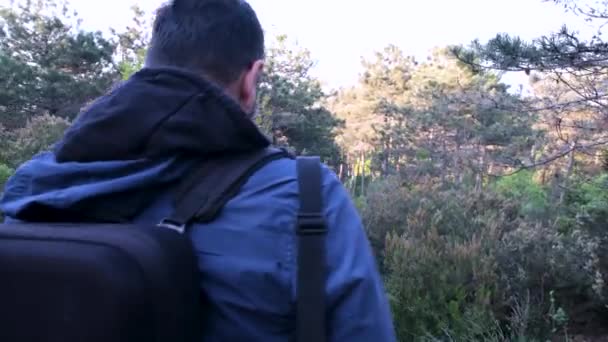 Туризм Человек Походы Сосновый Лес Сумками — стоковое видео