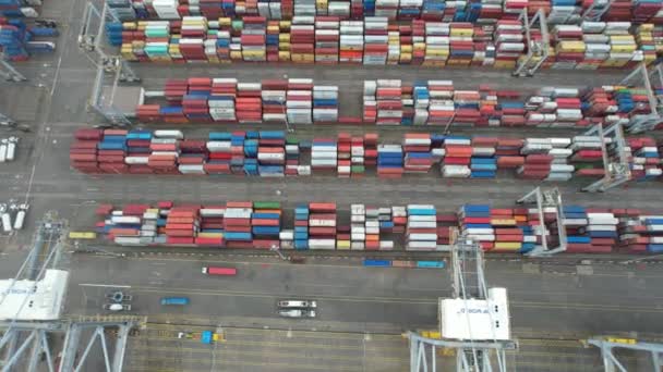 Luftverkehrshafen Für Import Und Export Containerhafen — Stockvideo