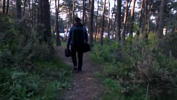 Hiking Man Hiking Pine Forest Bags — Stock Video