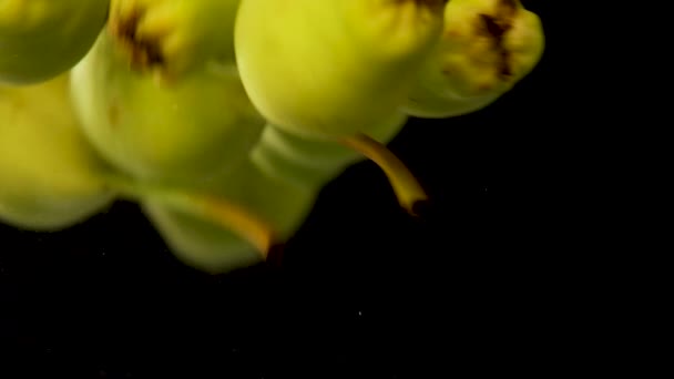 Αχλάδια Αχλάδια Που Πιτσιλίζονται Νερό Φόντο Βάλσαμο — Αρχείο Βίντεο