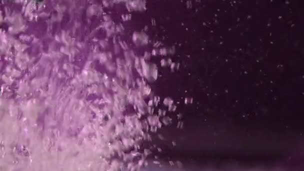 Bubbles Water Bubbles Purple Backgrounds Slowmotion — Stock Video