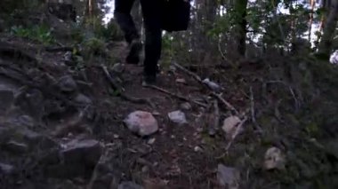 Dağ ormanında yürüyen yürüyüşçüler. Ormanda yürüyen adam. 