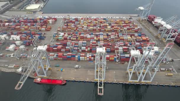 Container Aerial Container Port Containers Cranes Cargo — Video