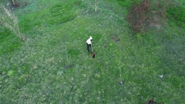 在田里挖树苗洞的农民 — 图库视频影像