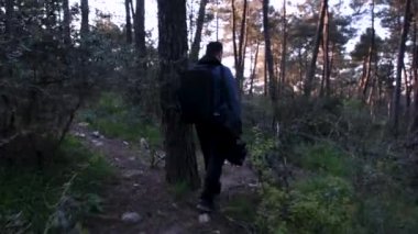  Yürüyüş, çam ormanlarında çantalarla yürüyüş yapan adam.