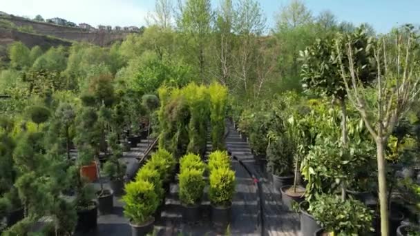 Jardín Botánico Jardín Botánico Aéreo Con Varias Plántulas Árboles — Vídeos de Stock