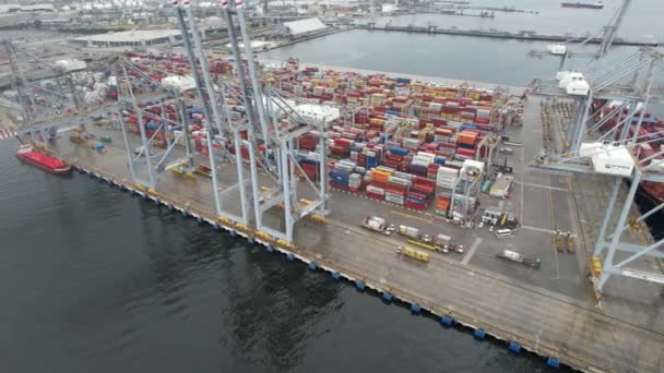 Containrar Containerterminaler Och Containrar Nära Kranar För Last — Stockvideo
