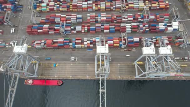 Container Loading Unloading Deep Sea Port Logistic Import Export — Vídeo de stock