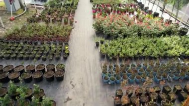 Çiçek saksısı, üstte saksı çiçeği serası.