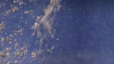 kabarcık, su kabarcığı parlak mavi arka planda yavaş çekim