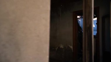 Bina hasar görmüş, terk edilmiş bina savaştan zarar görmüş.