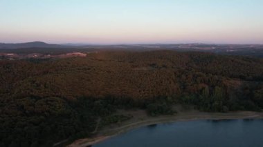 Çam ormanı, göl kenarındaki havadan yoğun çam ormanı
