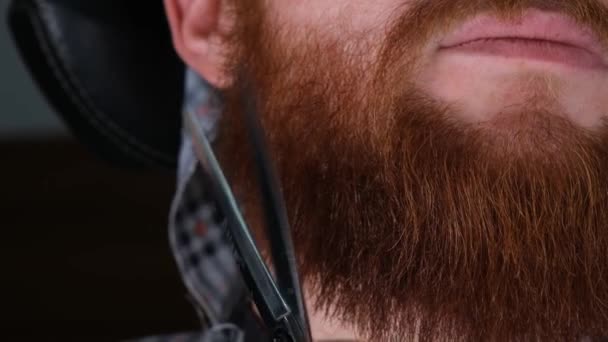 Beard Beard Shaving Slowmotion Wit Scissors — Stock Video