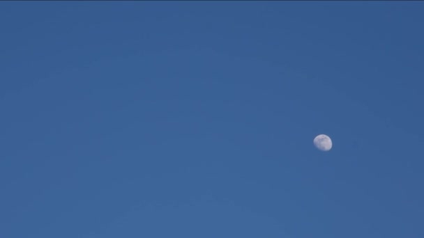 Φεγγάρι Και Αεροπλάνο Υψηλής Ποιότητας Πλάνα Pan Shot — Αρχείο Βίντεο