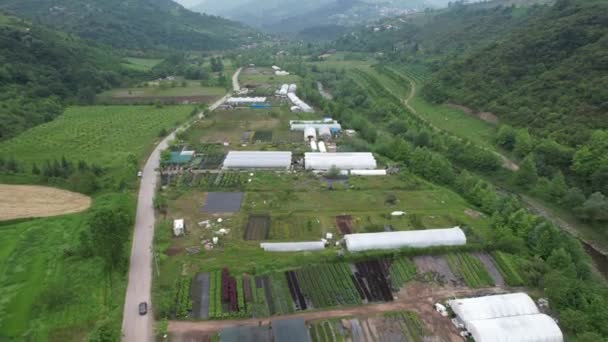 Agricultura Sostenible Vista Aérea Del Campo Agrícola Valle — Vídeos de Stock