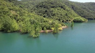 Orman dağlarının yakınındaki gölde yeşil ağaçlar