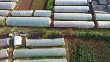 Yeşil, havadan yeşillik ve tarımsal alanlar. Yüksek kalite 4k görüntü