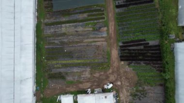 Arge çocuk odası, büyük bir çocuk odası ve çocuk odası havası manzarası.