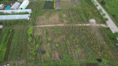 Ağaç fidanlığı, hava ağacı fidanlığı ve tarım vadisi.