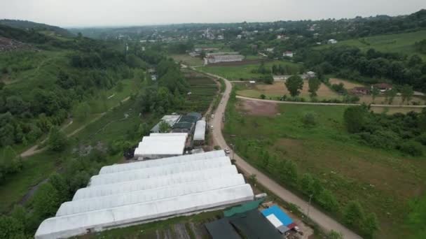 Kasvihuone Maatalous Aerial Näkymä Maatalouden Alalla Laaksossa — kuvapankkivideo