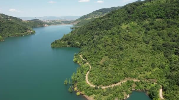 Göl Orman Göl Orman Manzaralı Hava Manzaralı Yeşil Dağlar — Stok video