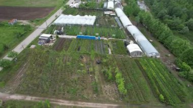 Yeşil, havadan yeşillik ve tarımsal alanlar. Yüksek kalite 4k görüntü