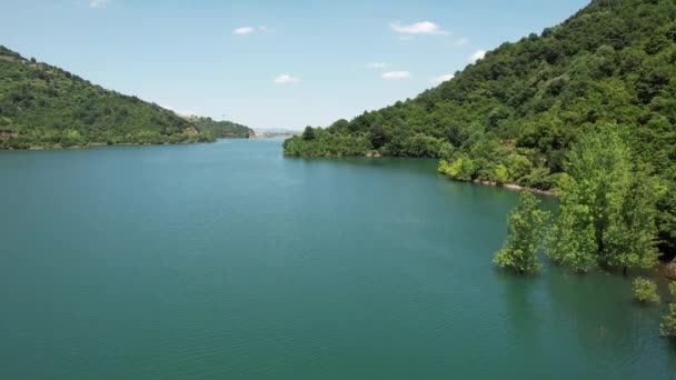 Göl Orman Havadan Göl Yeşil Orman Yüksek Kalite Görüntü — Stok video