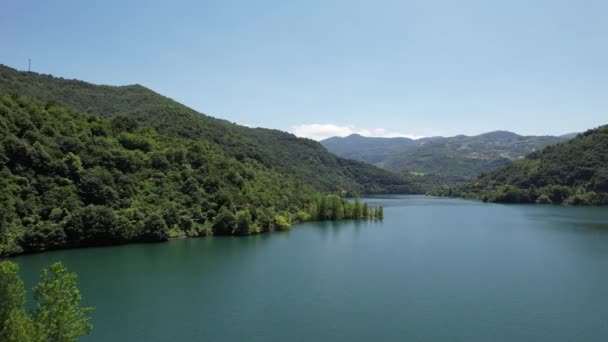 Orman Göl Havadan Yeşil Orman Göl Yüksek Kalite Görüntü — Stok video