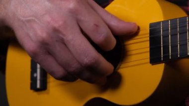 ukulele, man playing ukulele instrument close up