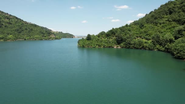 Göl Havadan Göl Yeşil Orman Dağları — Stok video