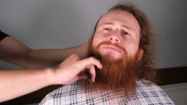 Długie Rude Włosy Broda Młody Atrakcyjny Łysy Człowiek Długimi Czerwonymi — Wideo stockowe