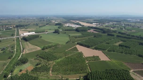 Agricultural Lands Aerial Shot Regular Agricultural Lands — Stock Video