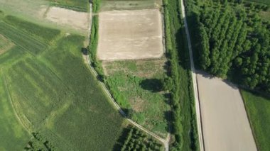 Hava görüntüleri düzenli tarım arazileri ve çeşitli bitkiler