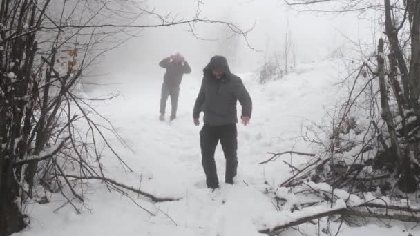 Hrát Sněhové Koule Dva Mladí Lidé Hrají Sněhové Koule Zima — Stock video