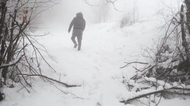 Procházky Sněhu Muž Kráčí Sněhu Zamlženém Lese — Stock video