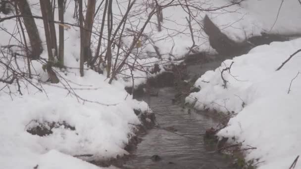 Malý Potok Protékající Sněhem — Stock video
