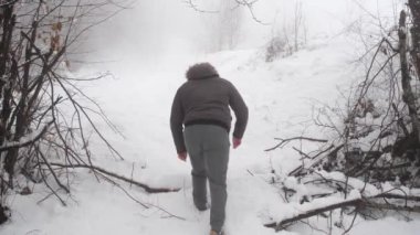 Karda yürür, adam ormanda karda yürür.