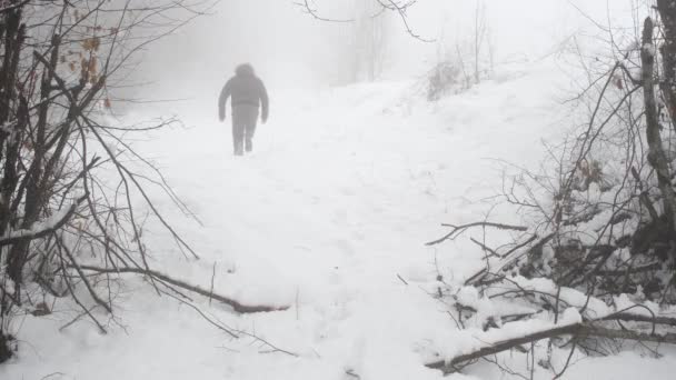 Promenader Snön Man Går Snön Dimmiga Skogsområdet — Stockvideo