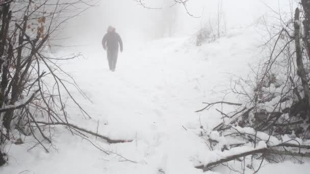 Wandelingen Sneeuw Man Wandelt Sneeuw Het Mistige Bosgebied — Stockvideo