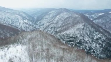 Karlı dağlar, havadaki karlı dağlar ve orman yüksek kaliteli 4K görüntüler.