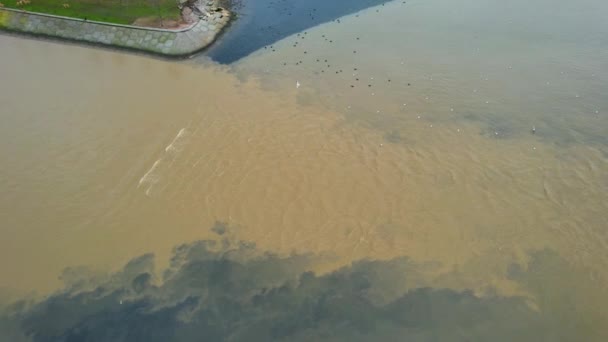 Inundar Mar Lamacento Claro Duas Linhas Mar Imagens Alta Qualidade — Vídeo de Stock