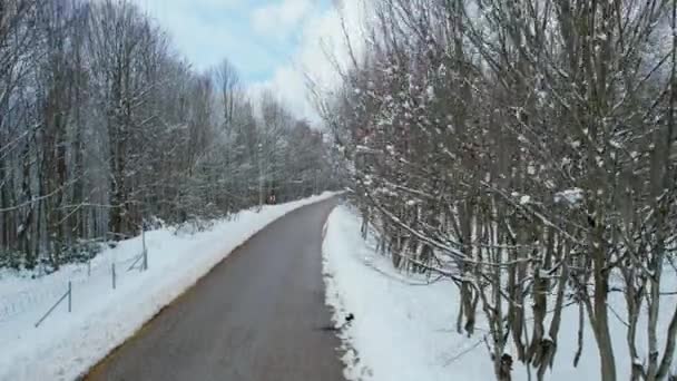 Silnice Vzdušná Zasněžená Lesní Cesta Sklopit Vysoce Kvalitní Záběry — Stock video