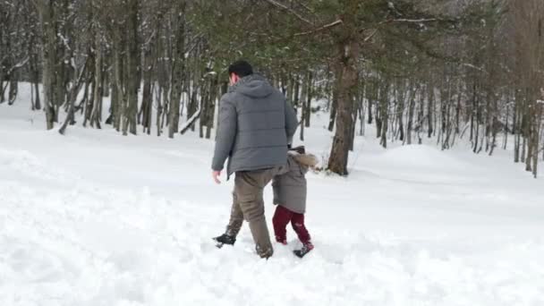 Rodina Kráčí Sněhu Otec Syn Vysoce Kvalitní Záběry — Stock video