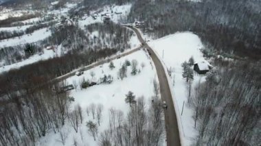 Yol, hava karlı orman yolu. Yüksek kalite 4k görüntü