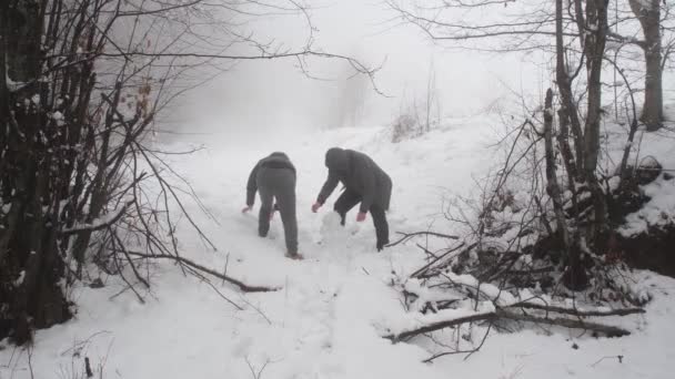 Jongeren Maken Sneeuwpoppen Sneeuw — Stockvideo